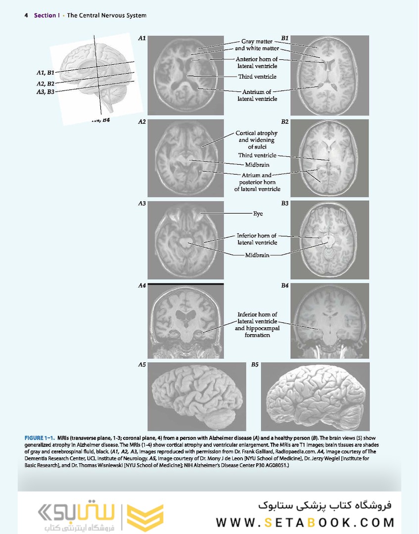 Neuroanatomy Text and Atlas, Fifth Edition 5th Edition