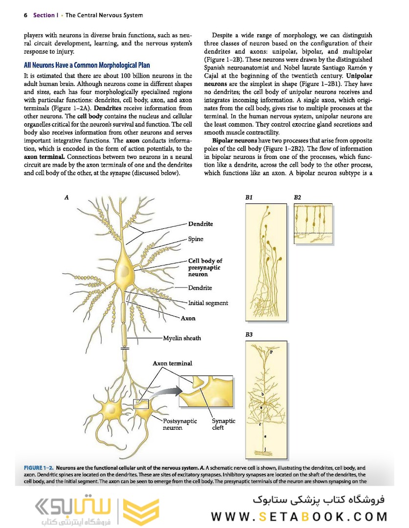 Neuroanatomy Text and Atlas, Fifth Edition 5th Edition