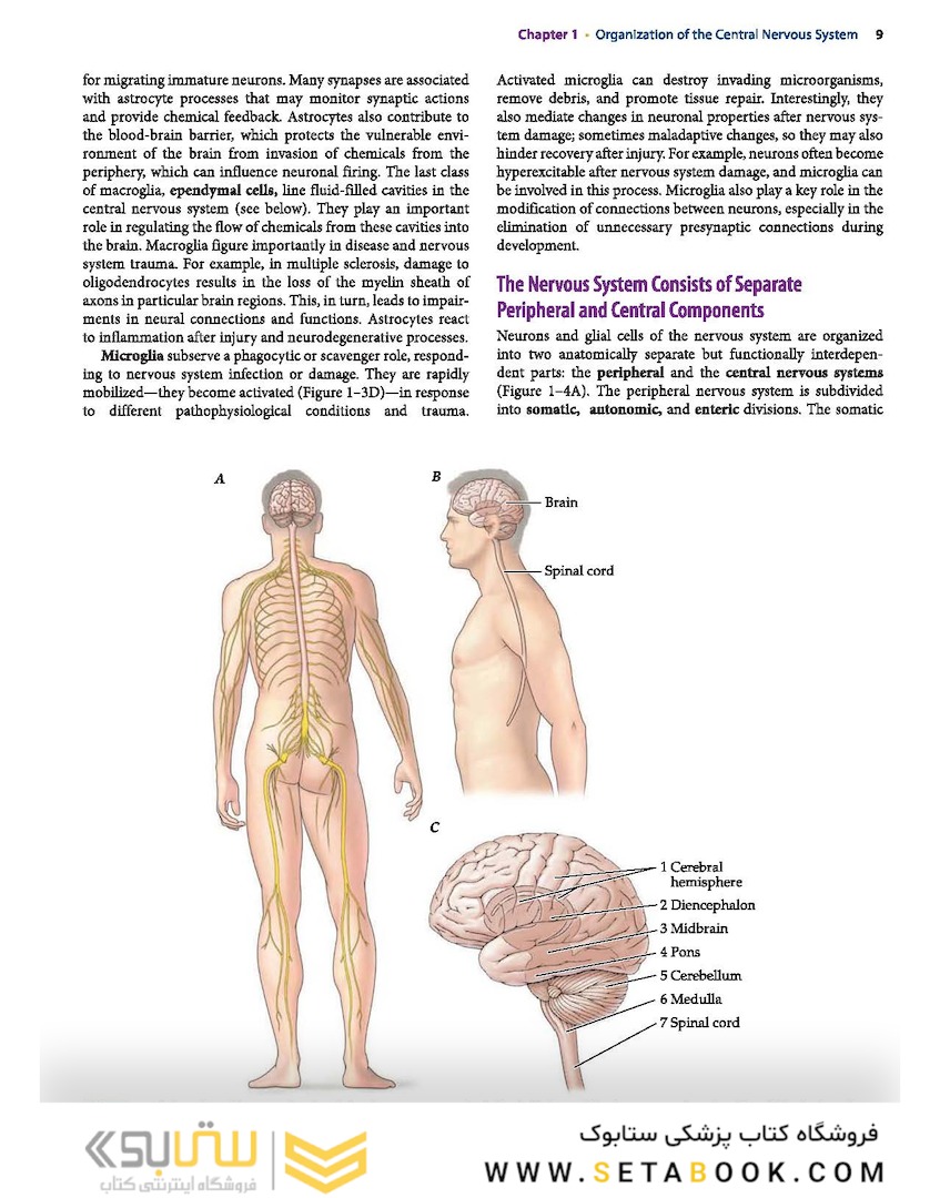 Neuroanatomy Text and Atlas, Fifth Edition 5th Edition