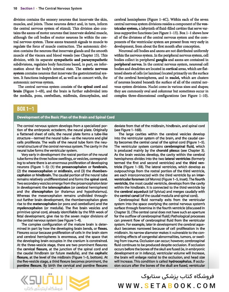 Neuroanatomy Text and Atlas, Fifth Edition 5th Edition