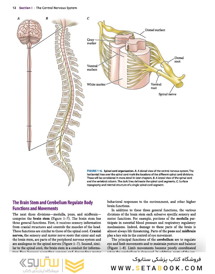 Neuroanatomy Text and Atlas, Fifth Edition 5th Edition