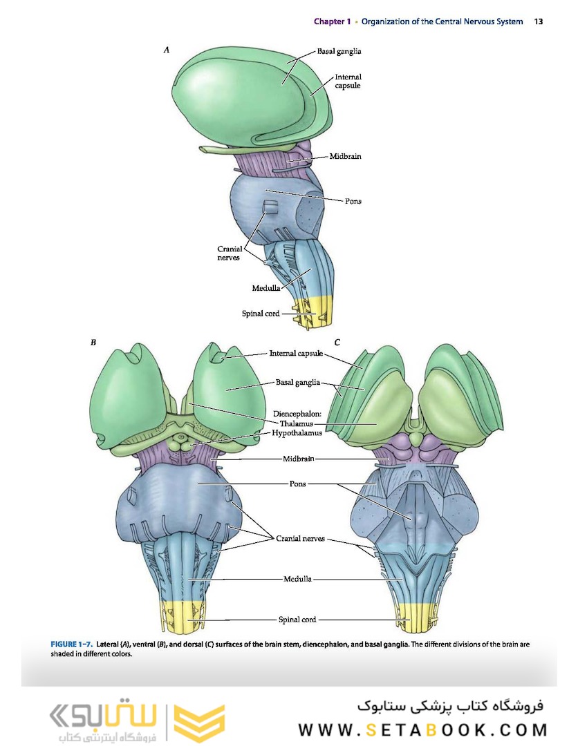 Neuroanatomy Text and Atlas, Fifth Edition 5th Edition