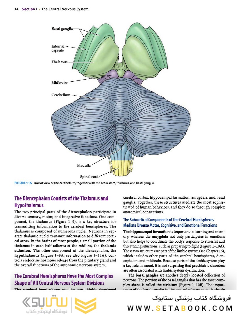 Neuroanatomy Text and Atlas, Fifth Edition 5th Edition