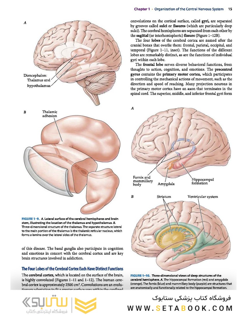 Neuroanatomy Text and Atlas, Fifth Edition 5th Edition