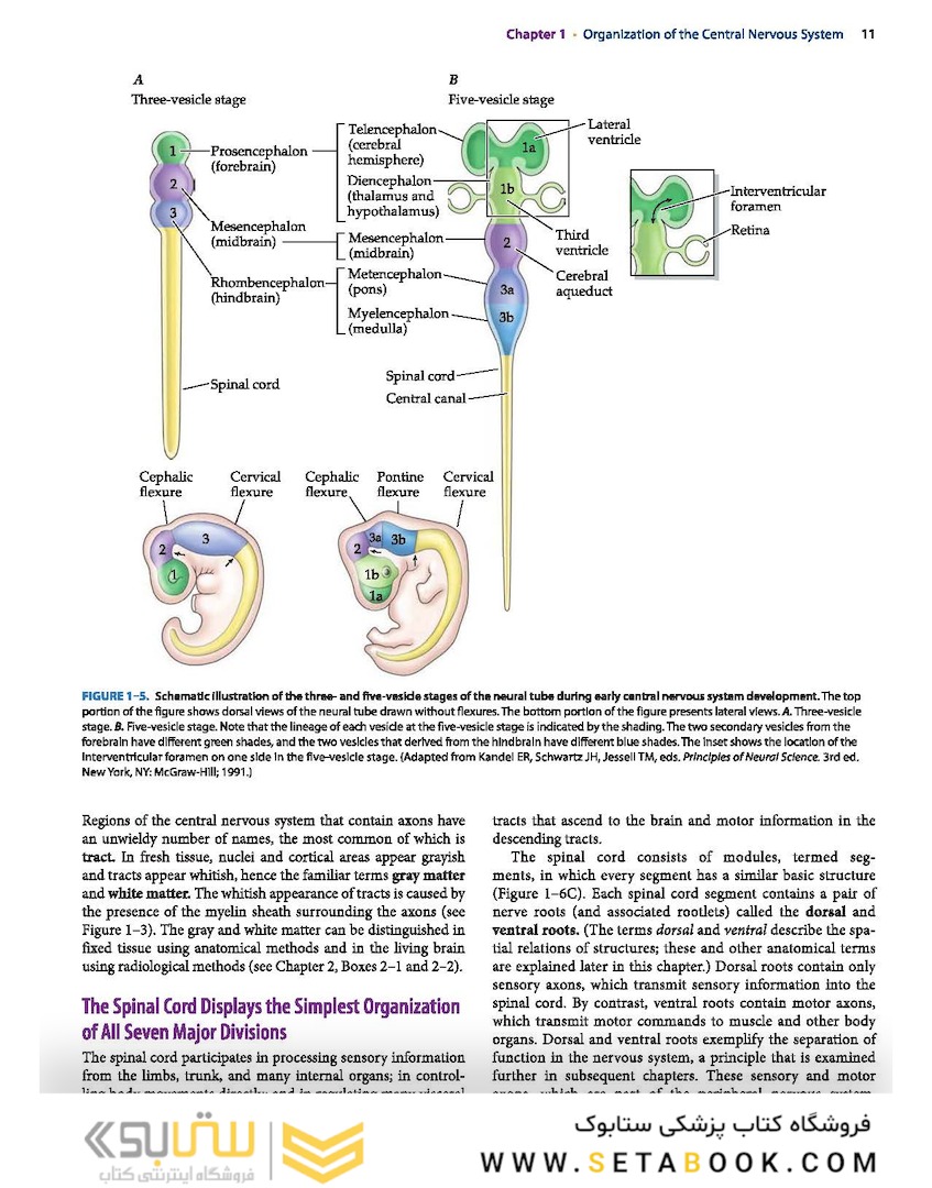 Neuroanatomy Text and Atlas, Fifth Edition 5th Edition