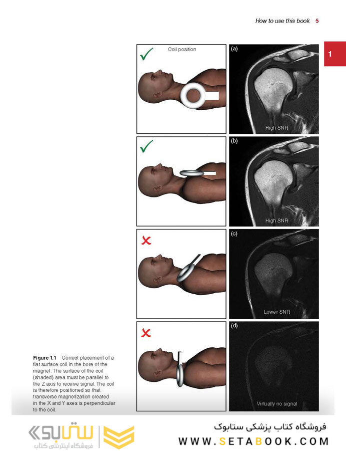 Handbook of MRI Technique, 4th Edition 4th Edition