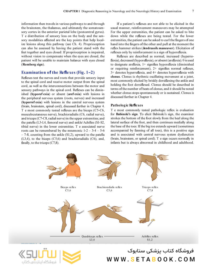 Lange Clinical Neurology and Neuroanatomy: A Localization-Based Approach2017