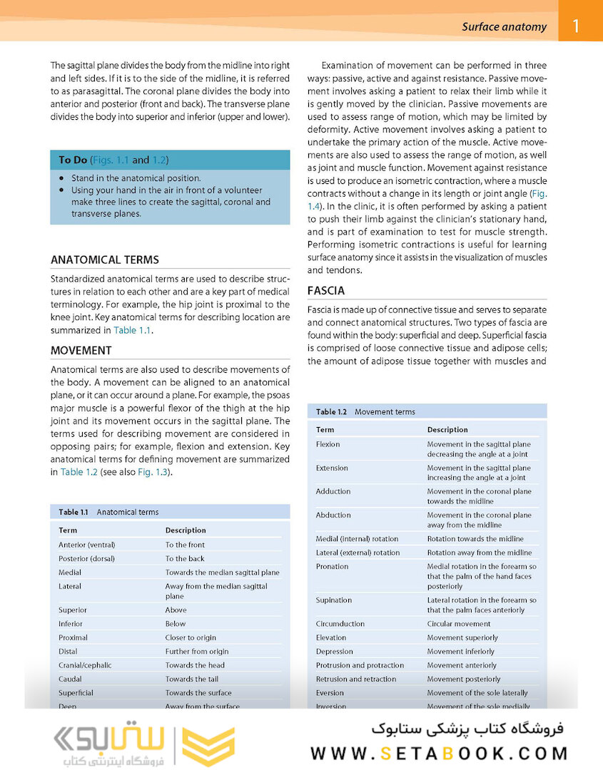 Gray’s Surface Anatomy and Ultrasound: A Foundation for Clinical Practice 2018