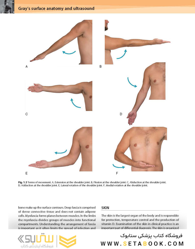 Gray’s Surface Anatomy and Ultrasound: A Foundation for Clinical Practice 2018