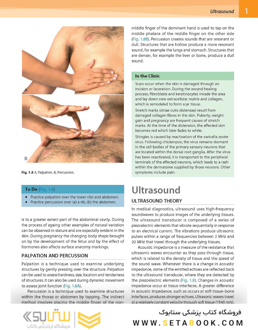 Gray’s Surface Anatomy and Ultrasound: A Foundation for Clinical Practice 2018