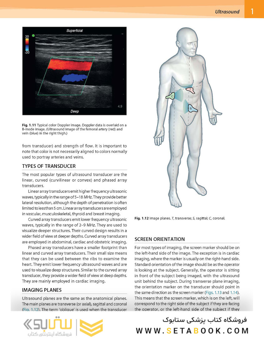 Gray’s Surface Anatomy and Ultrasound: A Foundation for Clinical Practice 2018