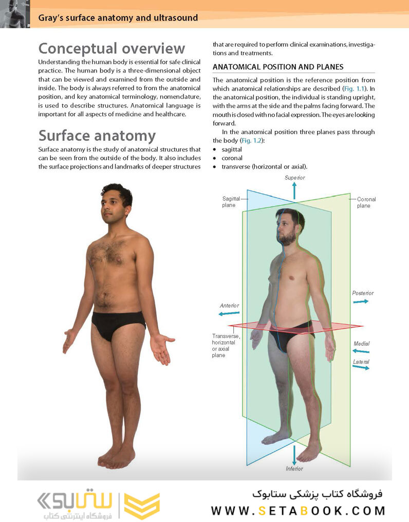 Gray’s Surface Anatomy and Ultrasound: A Foundation for Clinical Practice 2018