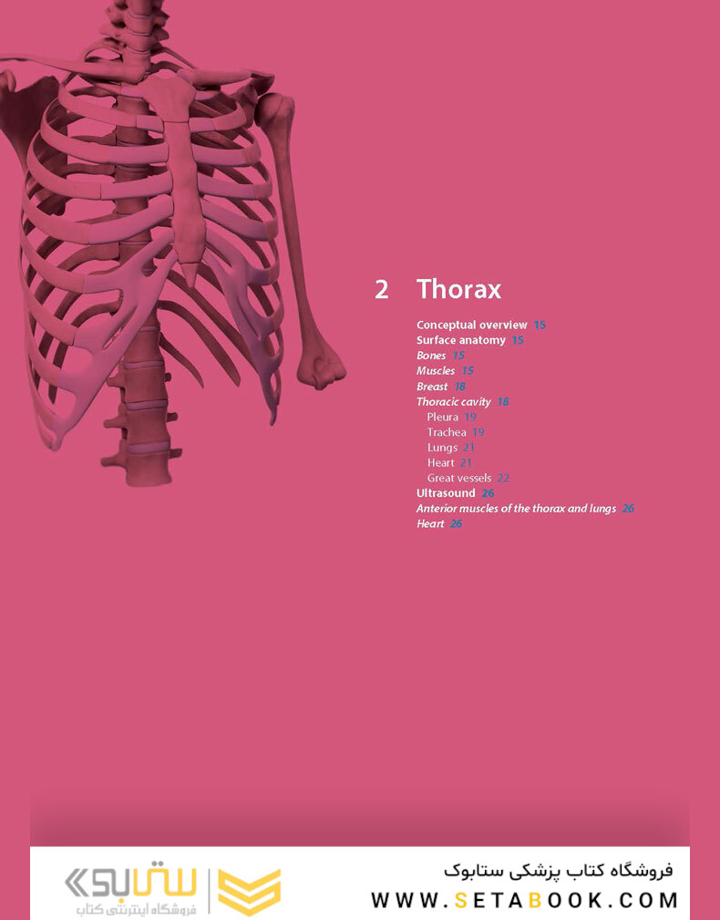Gray’s Surface Anatomy and Ultrasound: A Foundation for Clinical Practice 2018