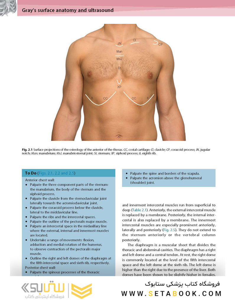 Gray’s Surface Anatomy and Ultrasound: A Foundation for Clinical Practice 2018