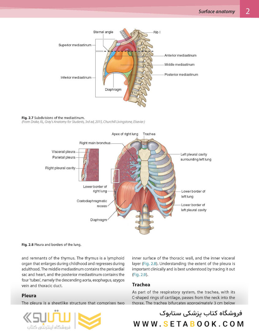 Gray’s Surface Anatomy and Ultrasound: A Foundation for Clinical Practice 2018