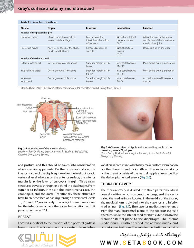 Gray’s Surface Anatomy and Ultrasound: A Foundation for Clinical Practice 2018