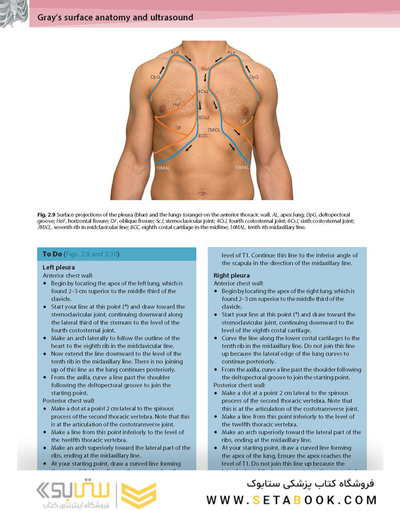 Gray’s Surface Anatomy and Ultrasound: A Foundation for Clinical Practice 2018