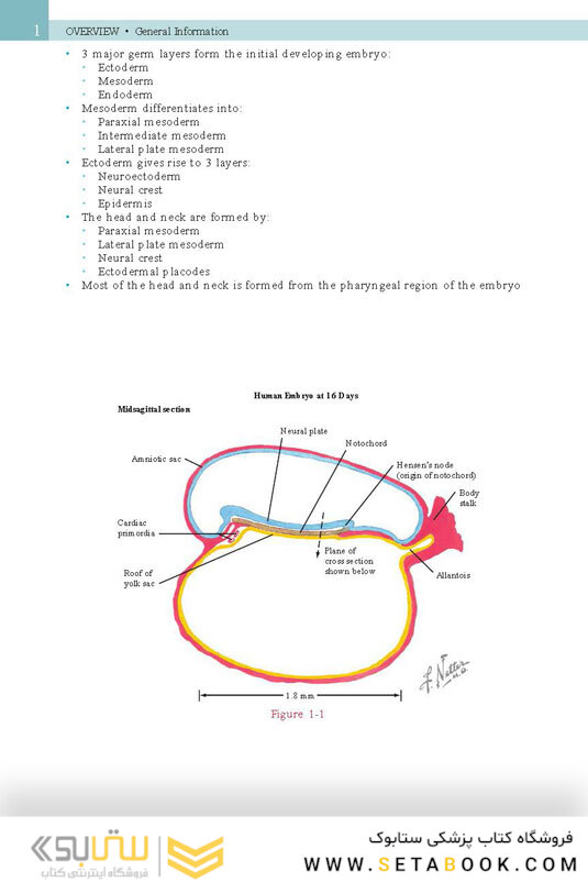 Netter’s Head and Neck Anatomy for Dentistry, 3rd Edition 2017