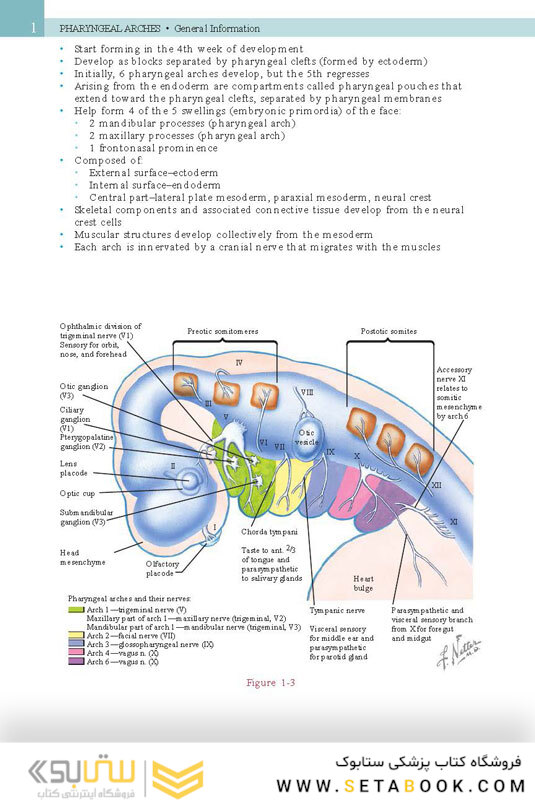 Netter’s Head and Neck Anatomy for Dentistry, 3rd Edition 2017