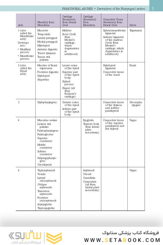Netter’s Head and Neck Anatomy for Dentistry, 3rd Edition 2017