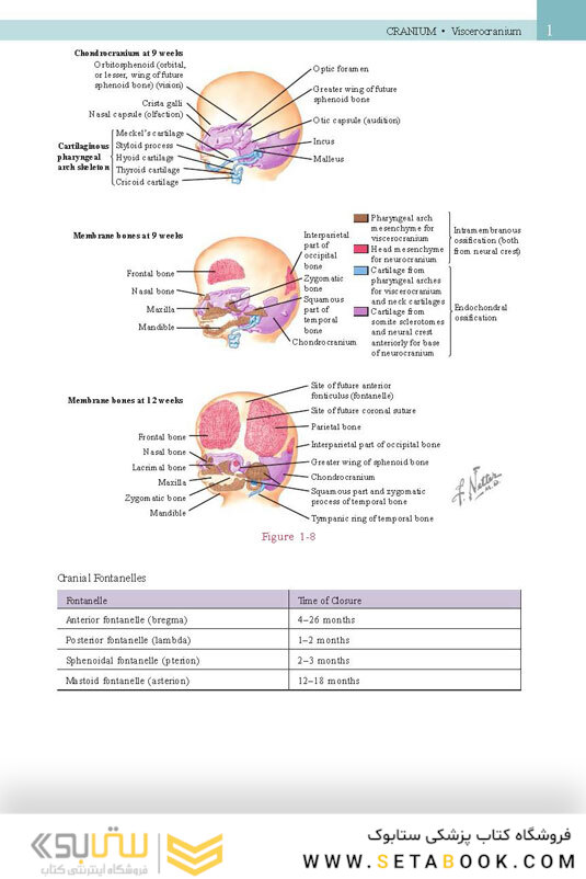 Netter’s Head and Neck Anatomy for Dentistry, 3rd Edition 2017