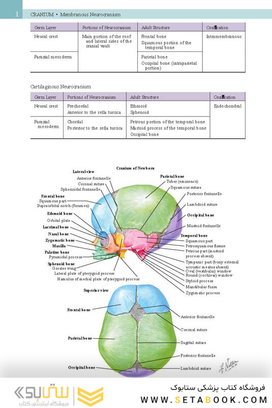 Netter’s Head and Neck Anatomy for Dentistry, 3rd Edition 2017