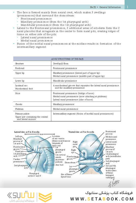 Netter’s Head and Neck Anatomy for Dentistry, 3rd Edition 2017