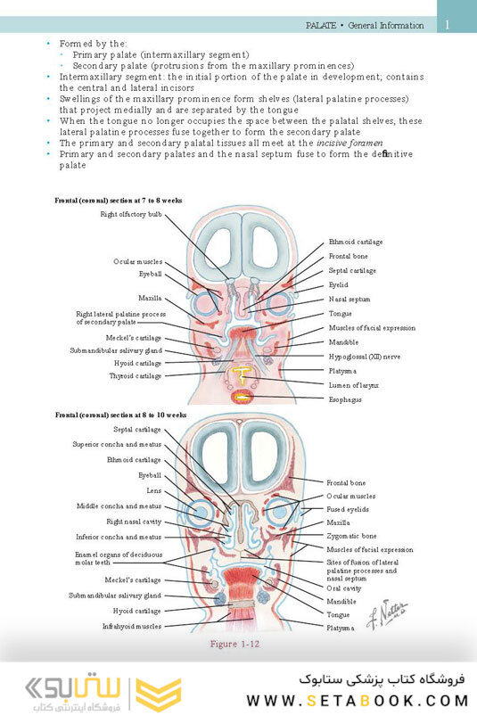 Netter’s Head and Neck Anatomy for Dentistry, 3rd Edition 2017