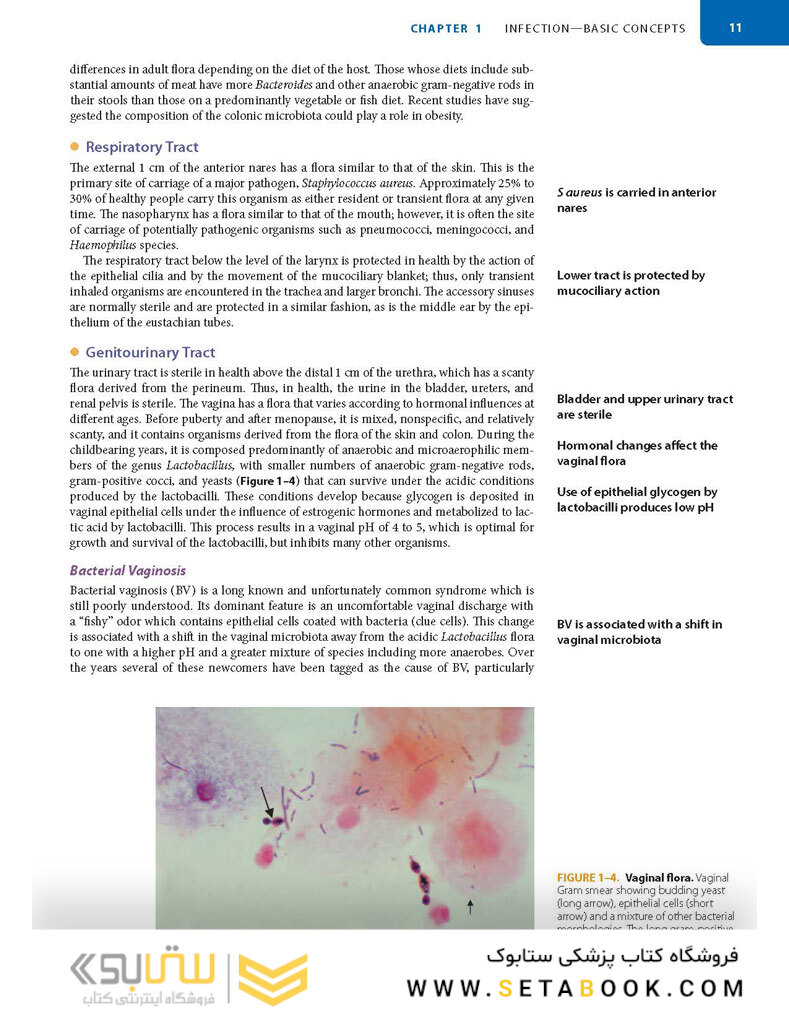 Sherris Medical Microbiology 7th-Edition 2018