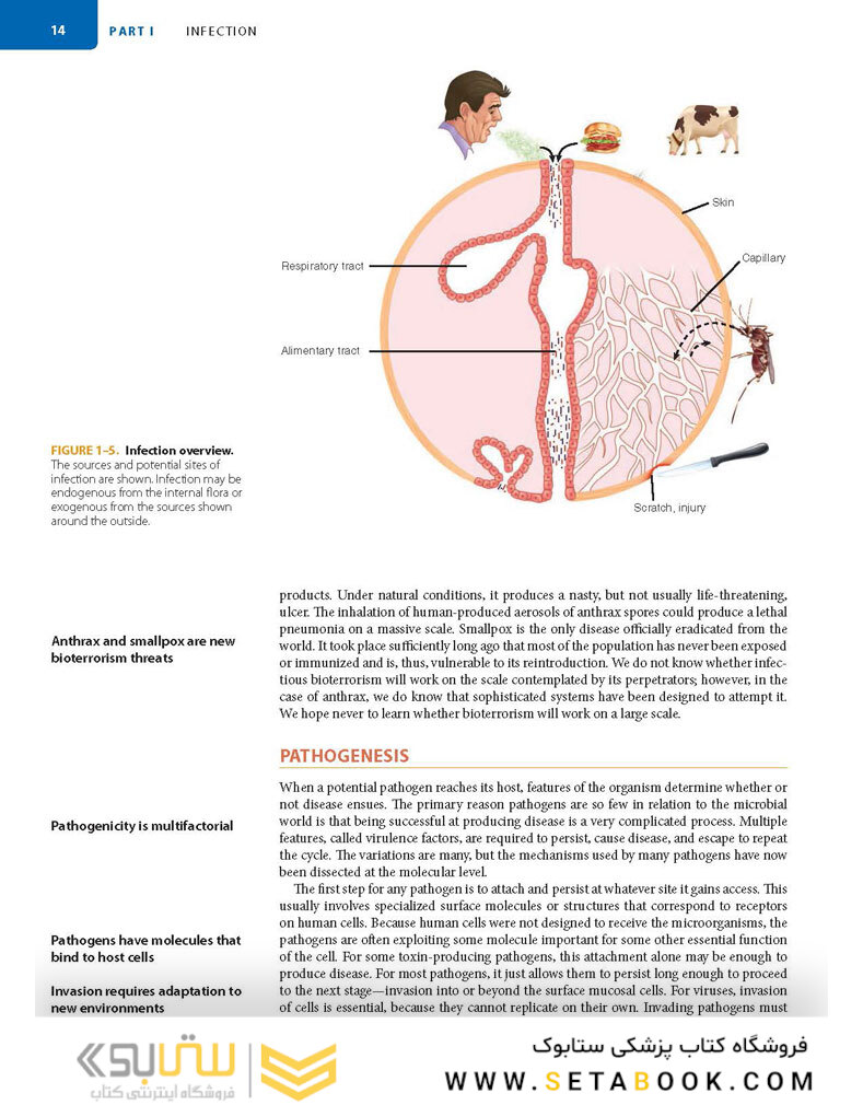 Sherris Medical Microbiology 7th-Edition 2018