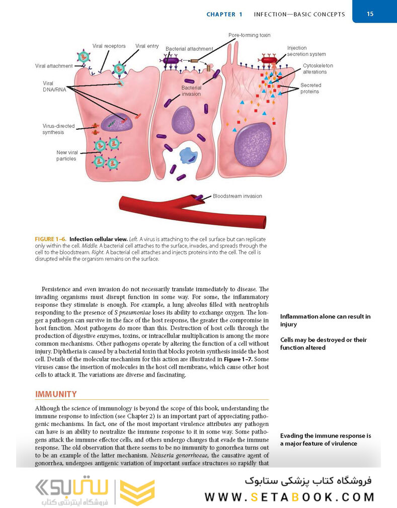 Sherris Medical Microbiology 7th-Edition 2018