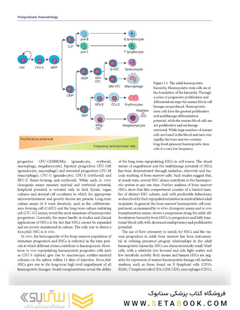 Postgraduate Haematology 7th Edition 2016
