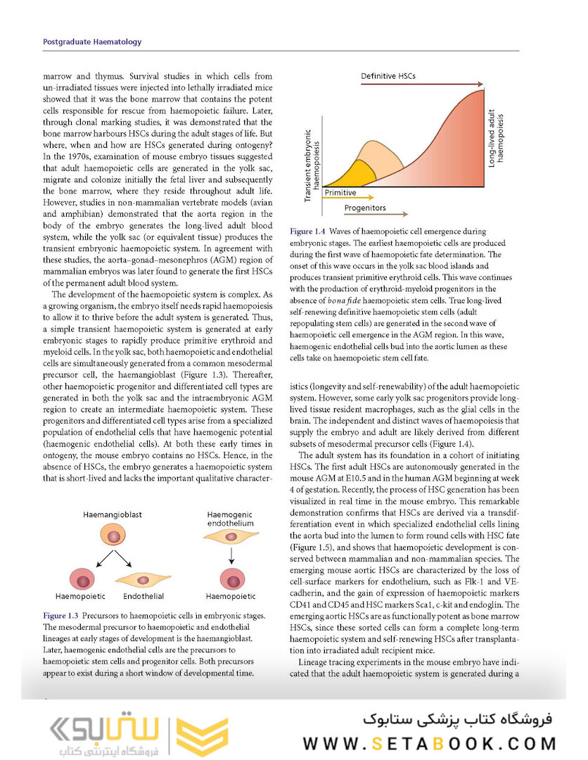 Postgraduate Haematology 7th Edition 2016