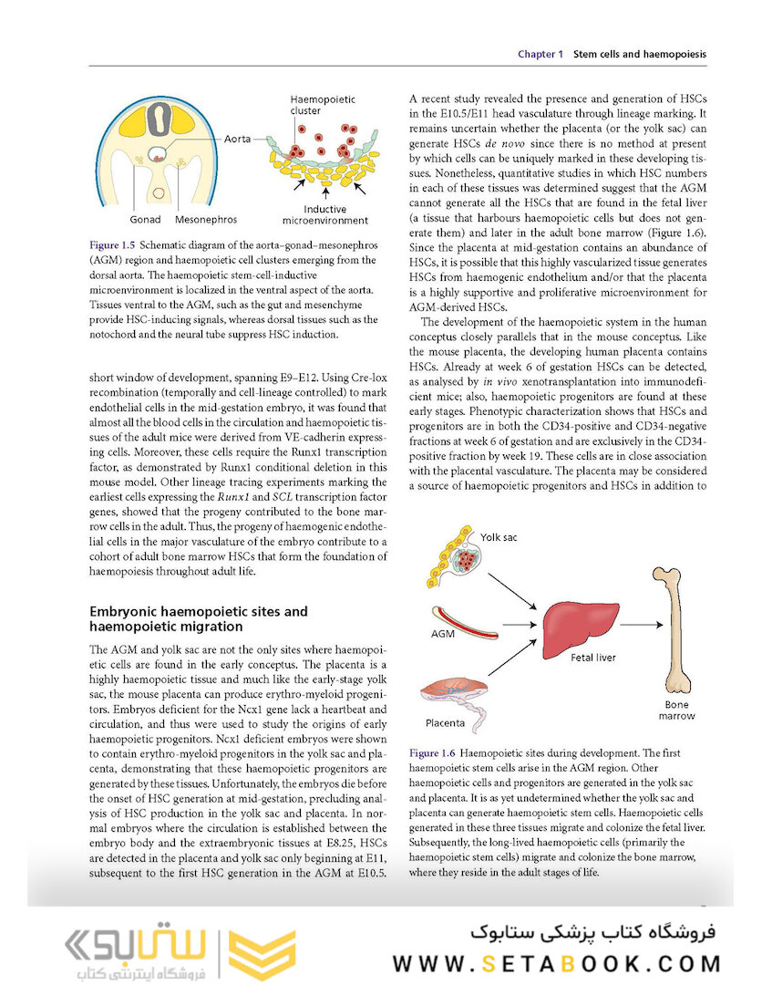 Postgraduate Haematology 7th Edition 2016