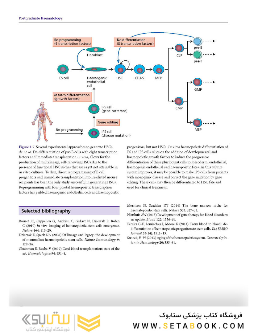 Postgraduate Haematology 7th Edition 2016