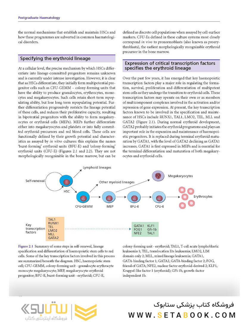 Postgraduate Haematology 7th Edition 2016