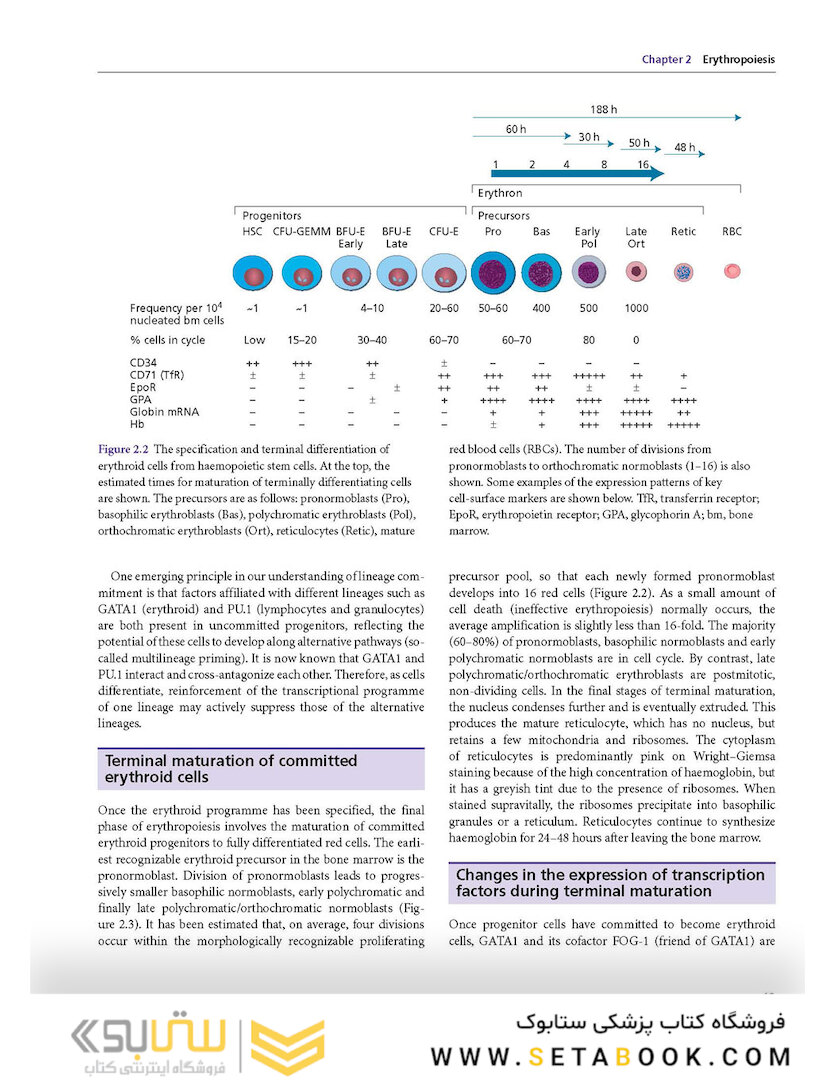 Postgraduate Haematology 7th Edition 2016