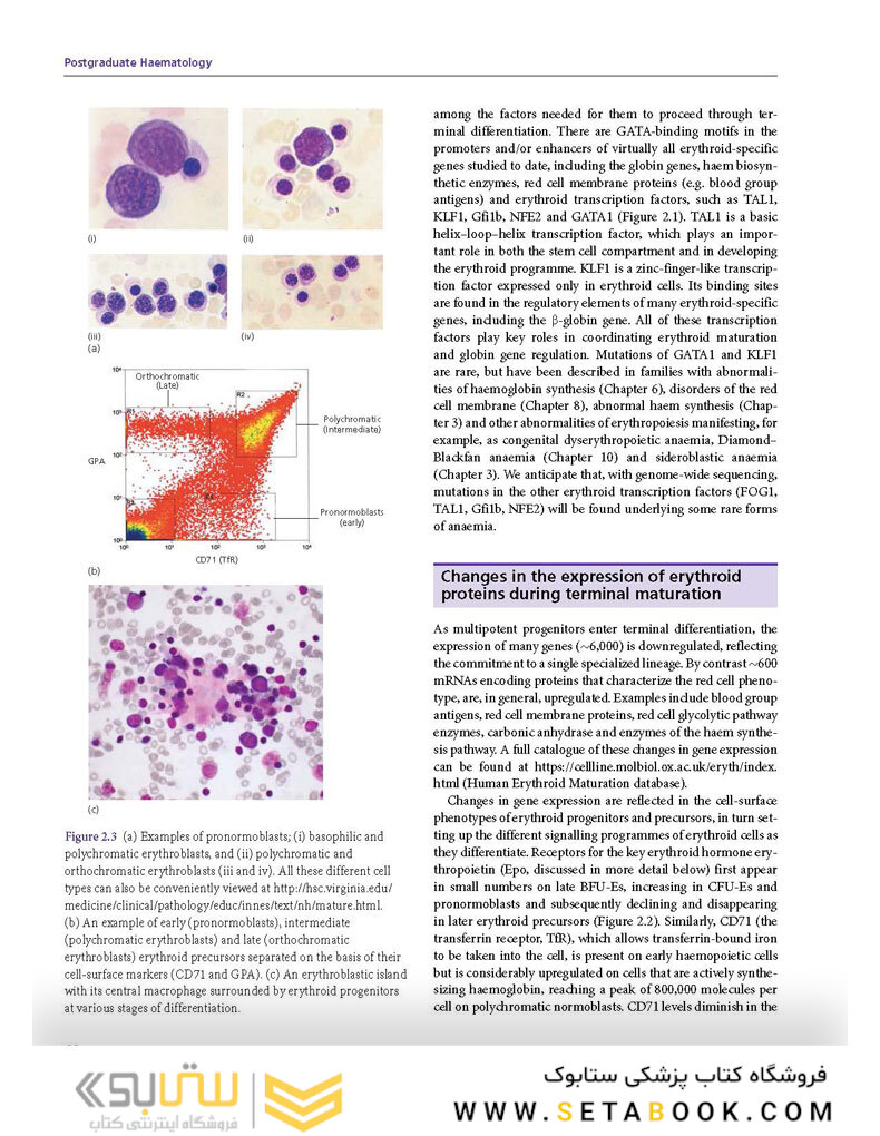 Postgraduate Haematology 7th Edition 2016