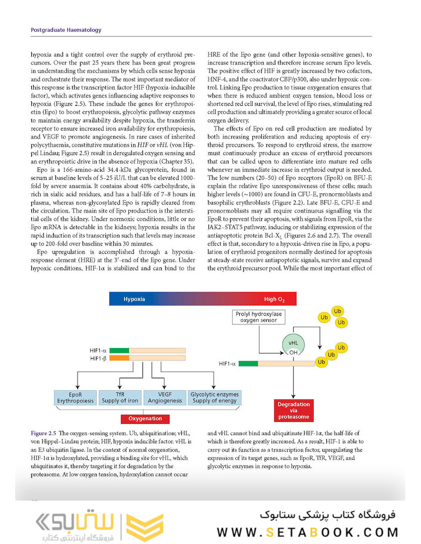 Postgraduate Haematology 7th Edition 2016