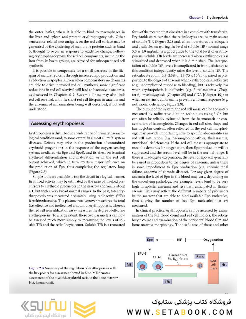 Postgraduate Haematology 7th Edition 2016