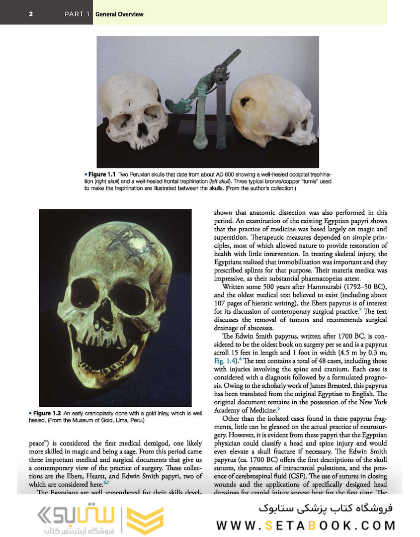 Principles of Neurological Surgery 4th Edition 2018