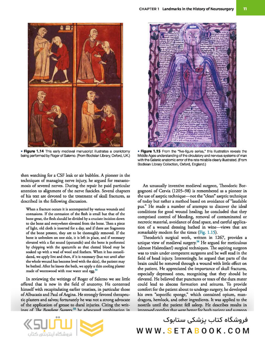 Principles of Neurological Surgery 4th Edition 2018