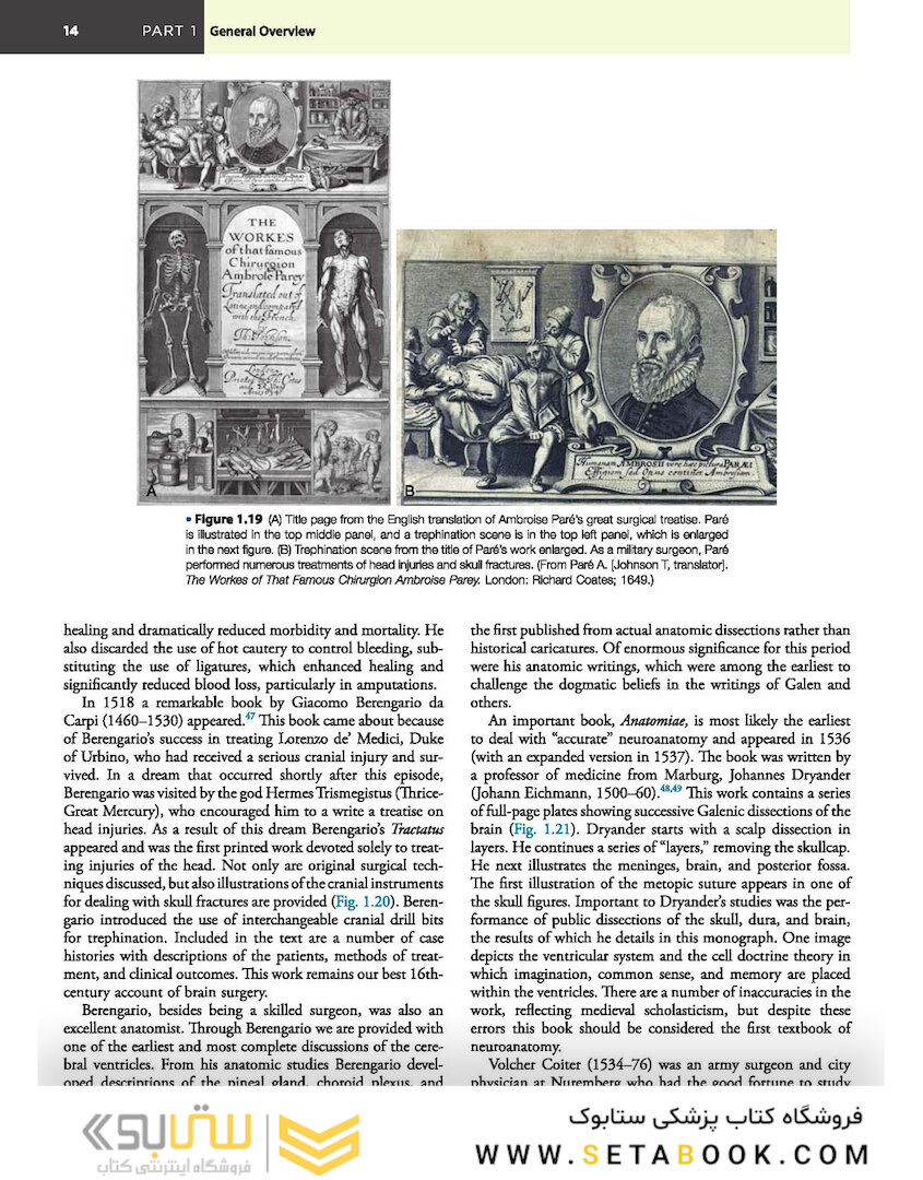 Principles of Neurological Surgery 4th Edition 2018