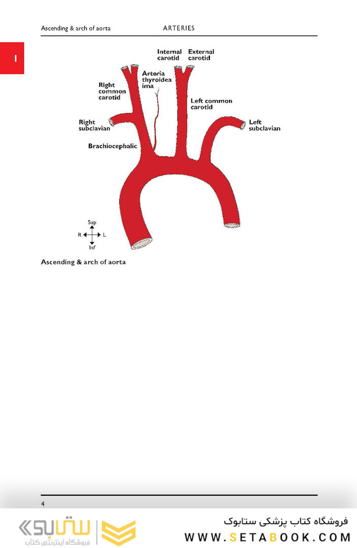 Instant Anatomy, 5th Edition2016