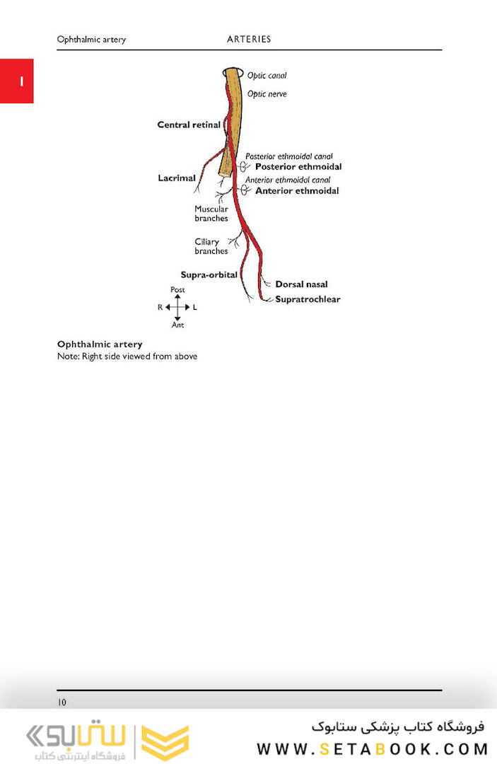 Instant Anatomy, 5th Edition2016