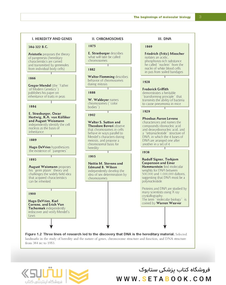 Fundamental Molecular Biology, 1st Edition2007