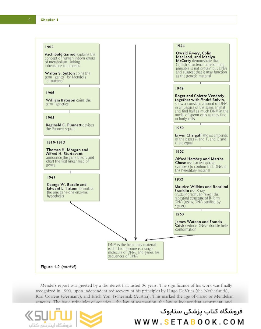Fundamental Molecular Biology, 1st Edition2007