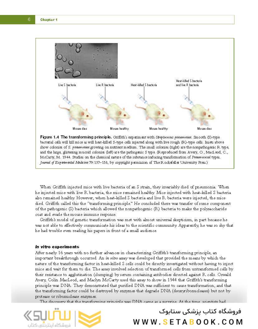 Fundamental Molecular Biology, 1st Edition2007