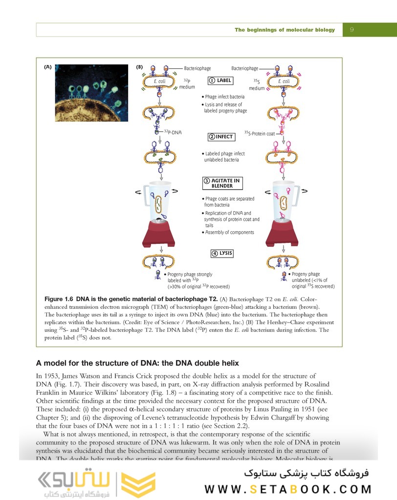 Fundamental Molecular Biology, 1st Edition2007