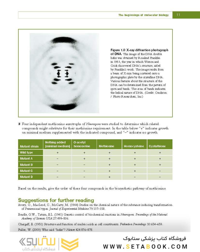 Fundamental Molecular Biology, 1st Edition2007